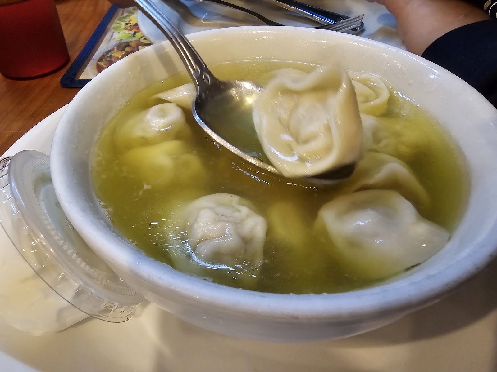 Dumpling soup